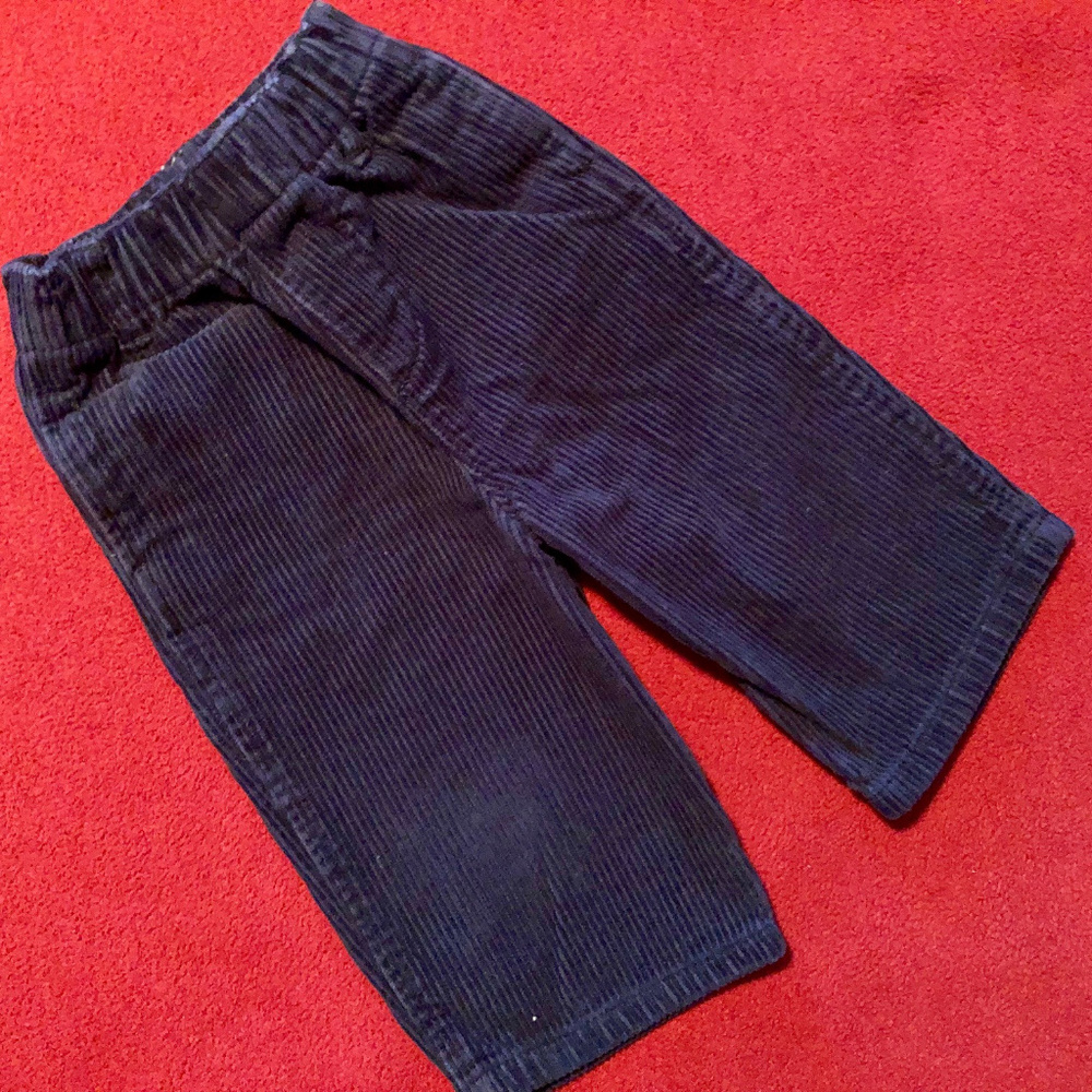 Pine Peak Blues corduroy pants